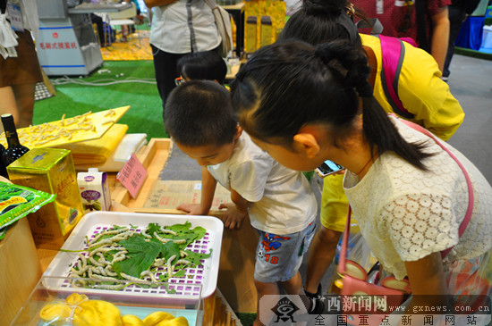 2018年广西科技“两周两展”启动仪式在南宁举行
