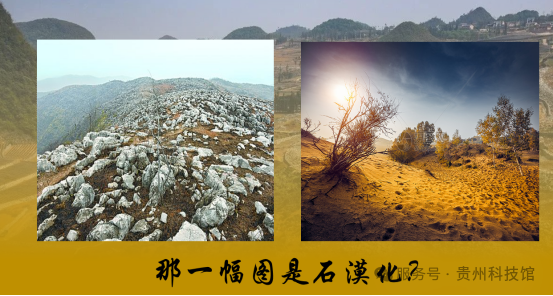 45e063cf4da579a1ff0bf145f90efb42.png