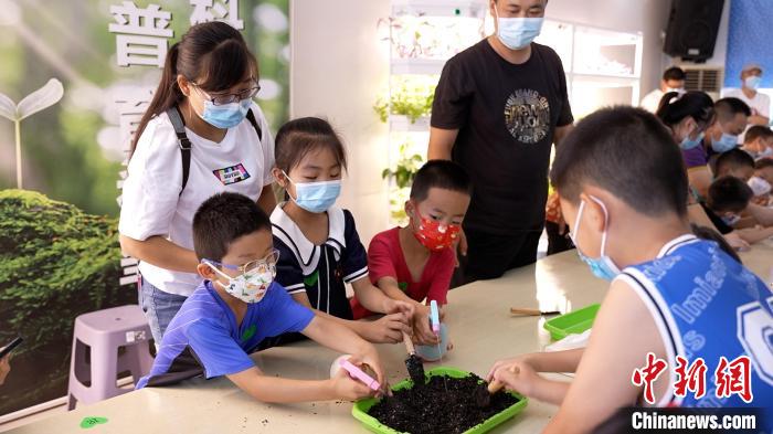 学生们播种太空种子。　王鑫铭 摄